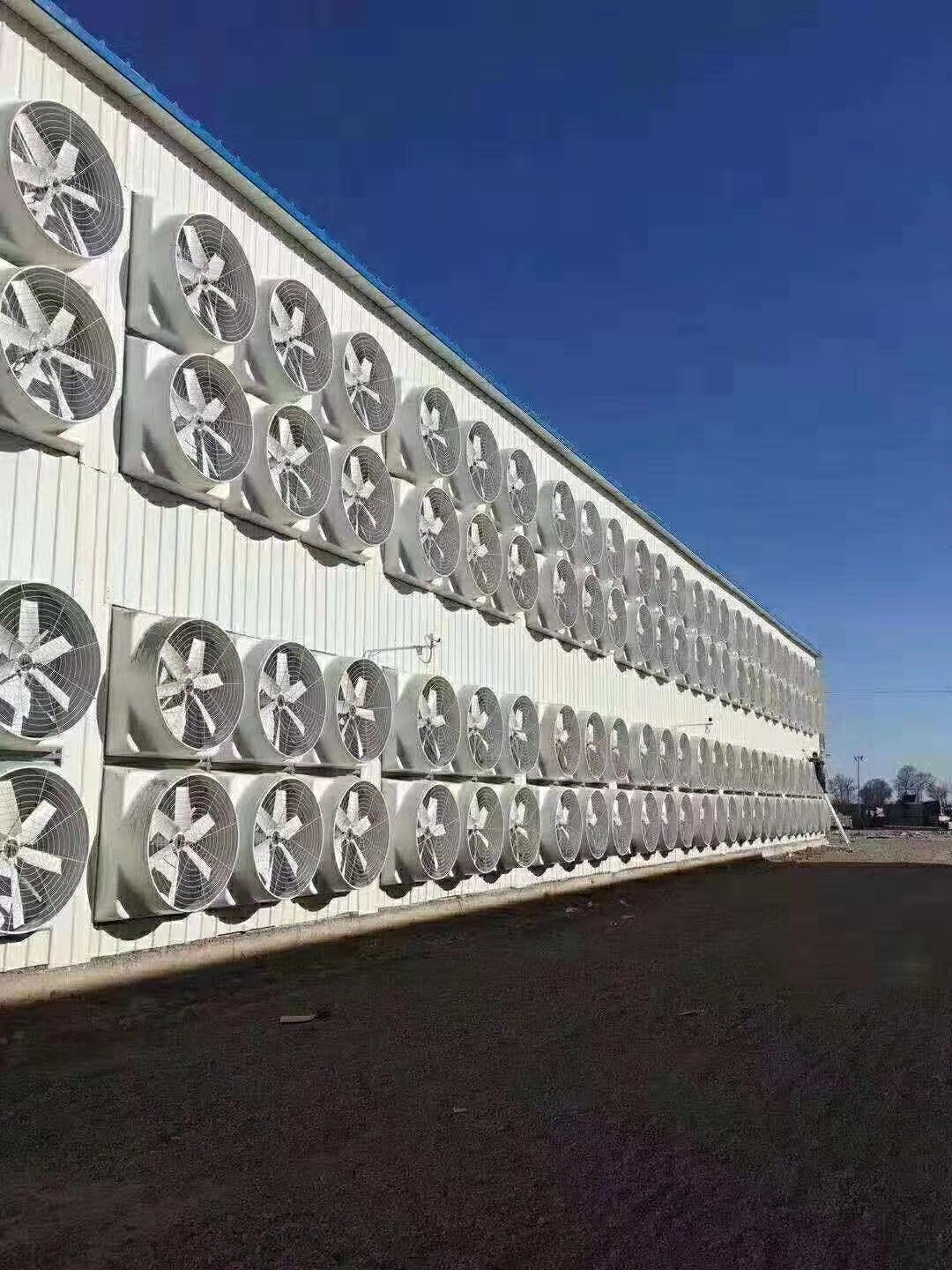 負(fù)壓排風(fēng)機