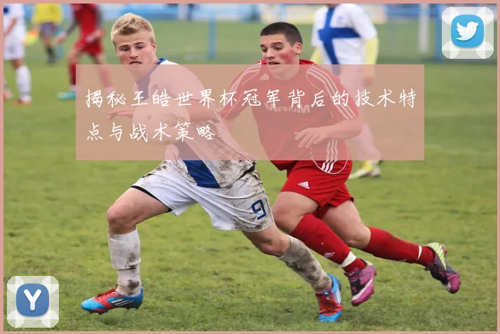 揭秘王皓世界杯冠军背后的技术特点与战术策略