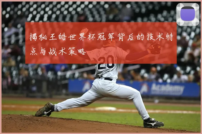 揭秘王皓世界杯冠军背后的技术特点与战术策略