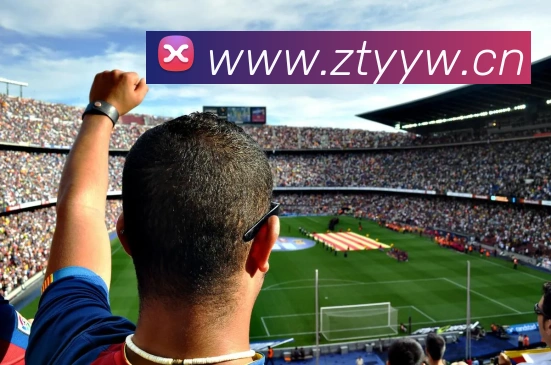 App Interface Preview